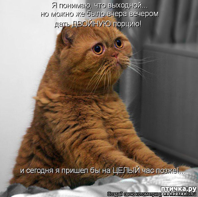 ���� 10: �����������: ��� � ��������!