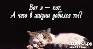 ���� 13: �����������: ��� � ��������!