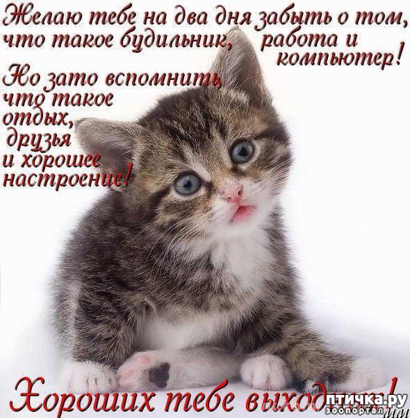 ���� 14: �����������: ��� � ��������!