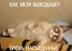 ����: �����������: ��� � ��������!