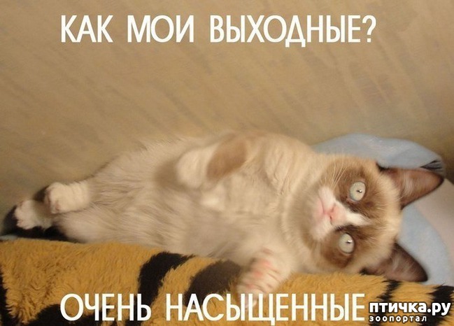 ���� 1: �����������: ��� � ��������!