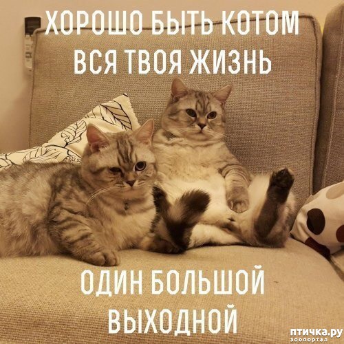 ���� 2: �����������: ��� � ��������!