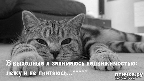 ���� 6: �����������: ��� � ��������!