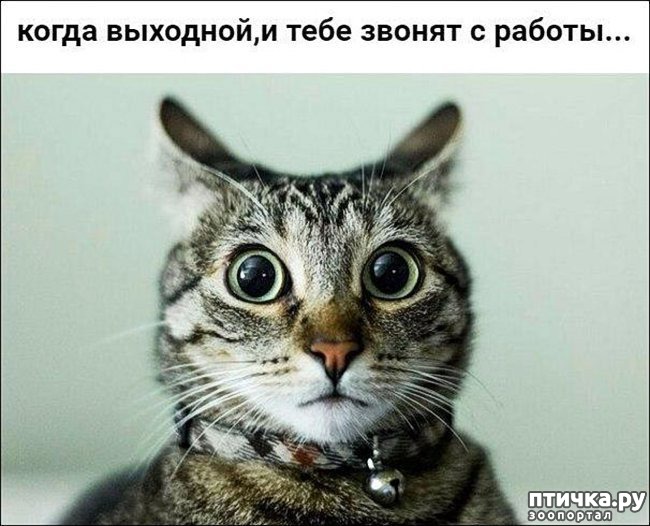 ���� 7: �����������: ��� � ��������!