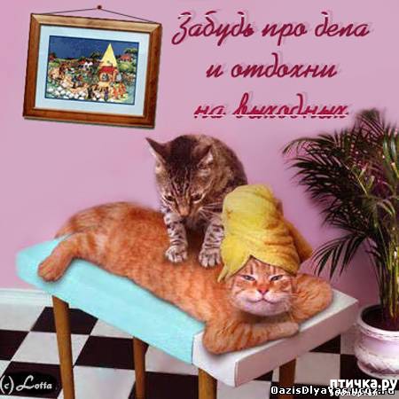 ���� 12: �����������: ��� � ��������!