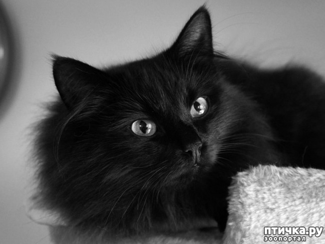 ���� 1: ������ ������ | ���� ����