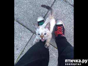 ����: ������ ��������