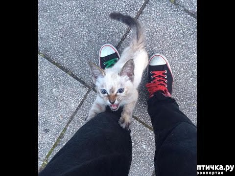 ���� 1: ������ ��������