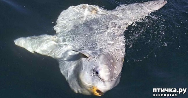 ���� 4: ����-��� � ������