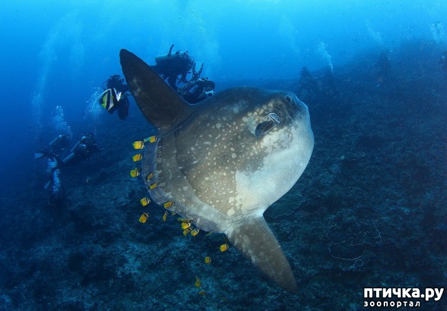 ���� 5: ����-��� � ������