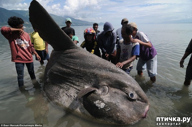 ���� 6: ����-��� � ������