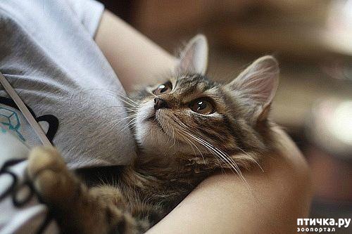 ���� 2: ������ ��������