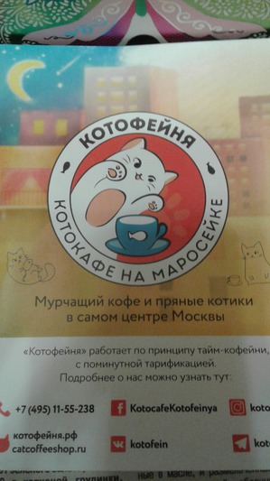 ����: ������ ���.