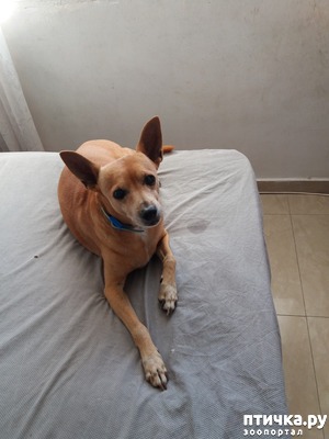 фотография: Горе горькое фото: Горе горькое