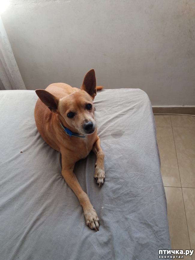 ���� 1: ���� �������