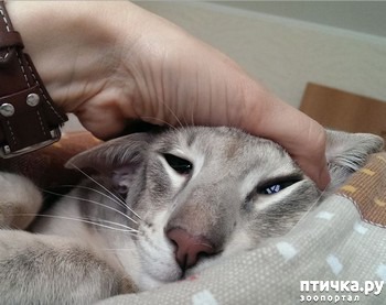  1:  