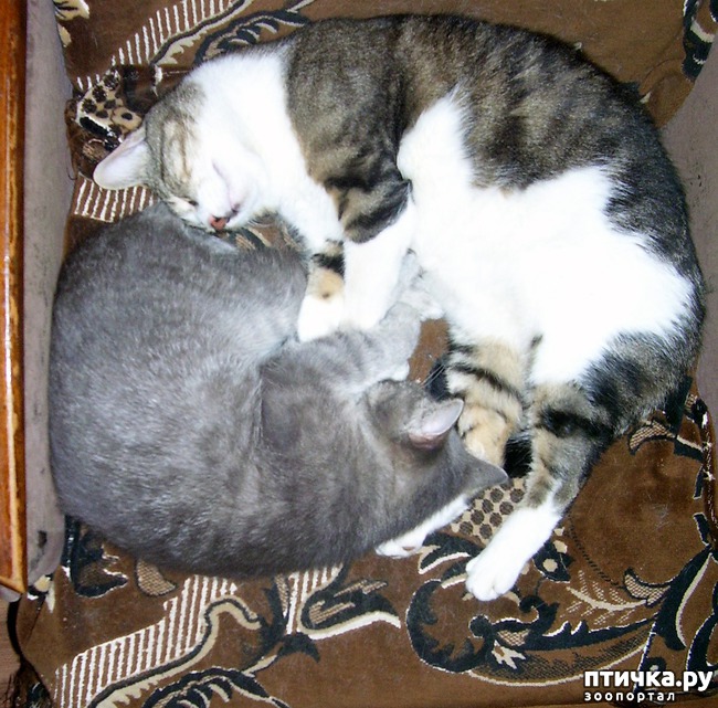 ���� 8: ��� ������� ������� (�������� � ������������) � ��������� ���������