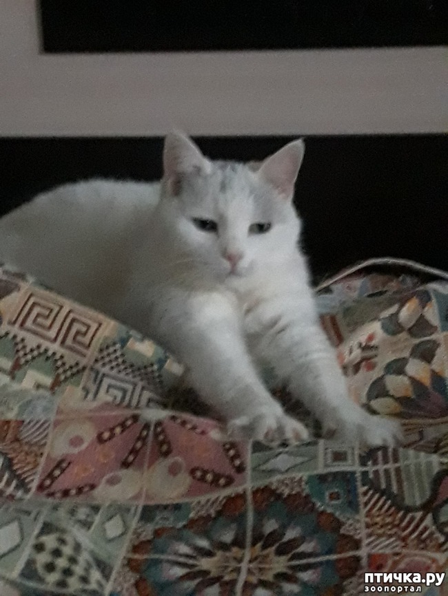 ���� 1: ��� ������� ������� (�������� � ������������) � ��������� ���������