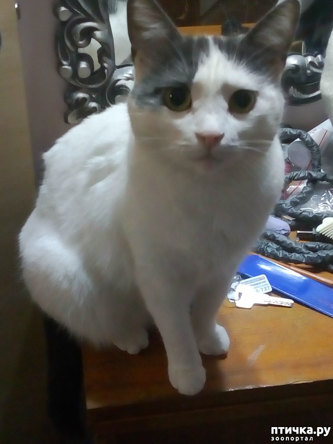  2:     )))