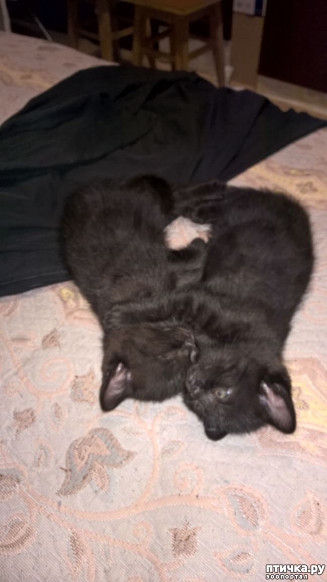 ���� 9: �� ��� ����� �������!