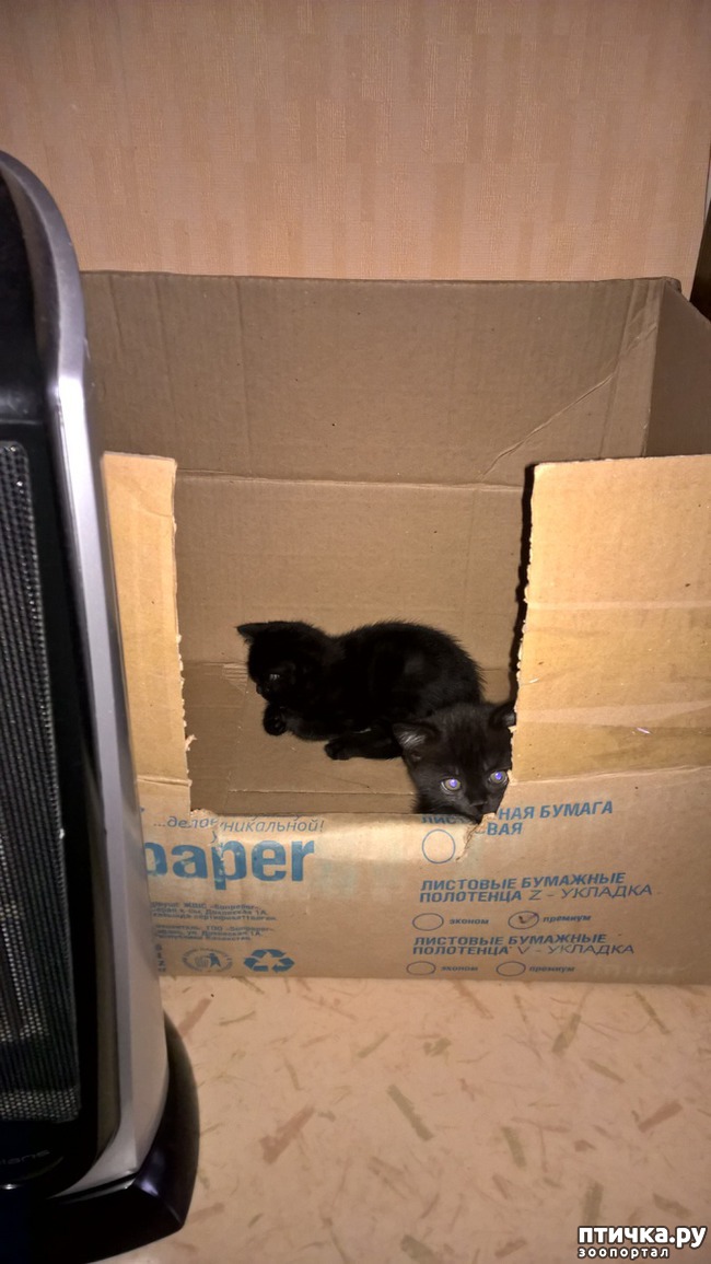 ���� 8: �� ��� ����� �������!