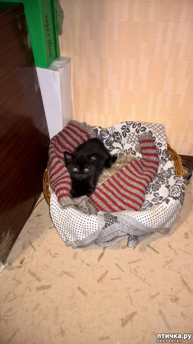 ���� 7: �� ��� ����� �������!