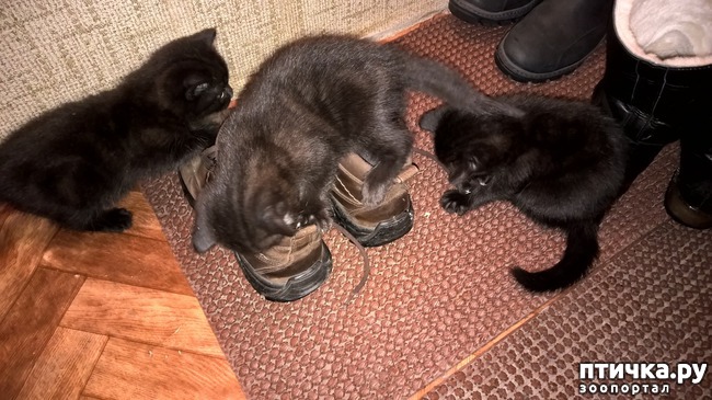 ���� 6: �� ��� ����� �������!