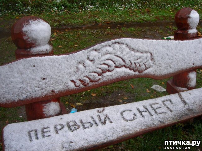 ���� 1: ������ ����