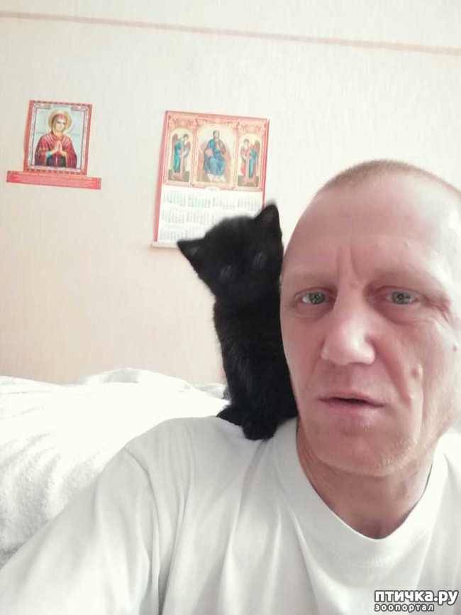 ���� 5: �� ��� ����� �������!