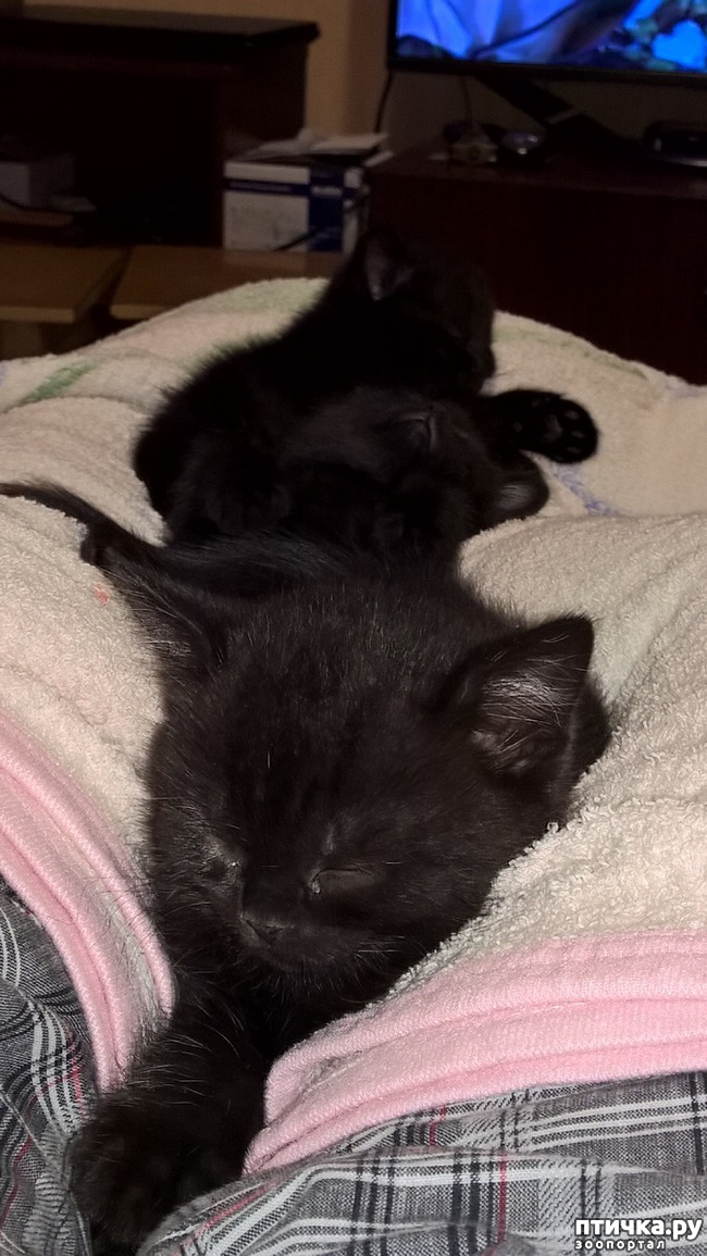 ���� 4: �� ��� ����� �������!