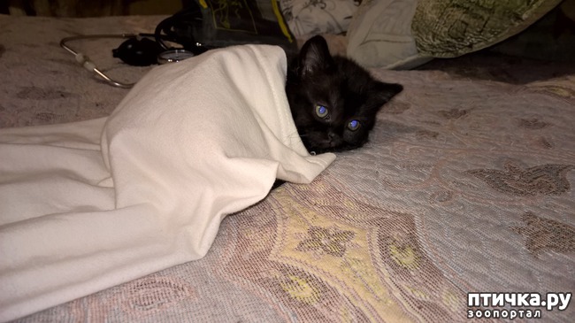 ���� 3: �� ��� ����� �������!