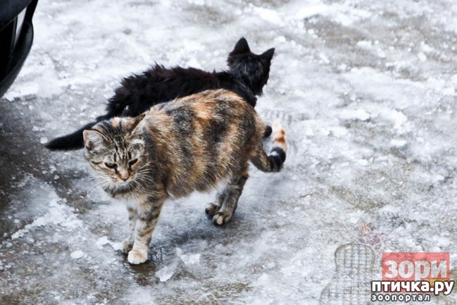 ���� 1: ����� �� ��������� ��������� �����