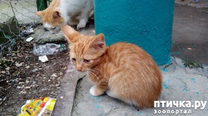 ����: ������ �� ��������