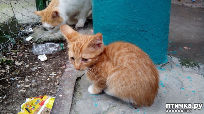 ���� 1: ������ �� ��������