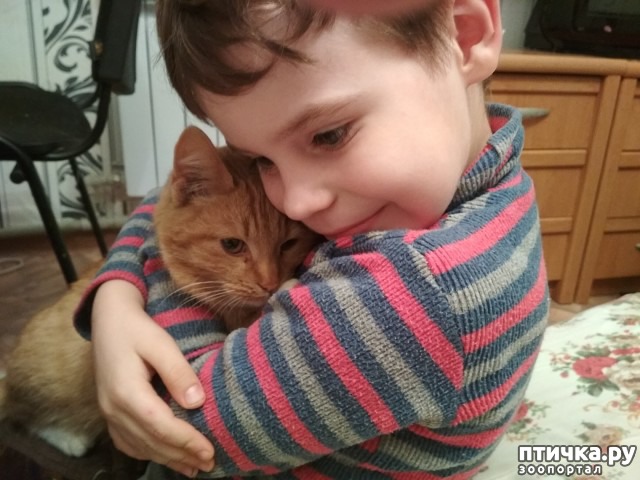 ���� 3: ������ �� ��������