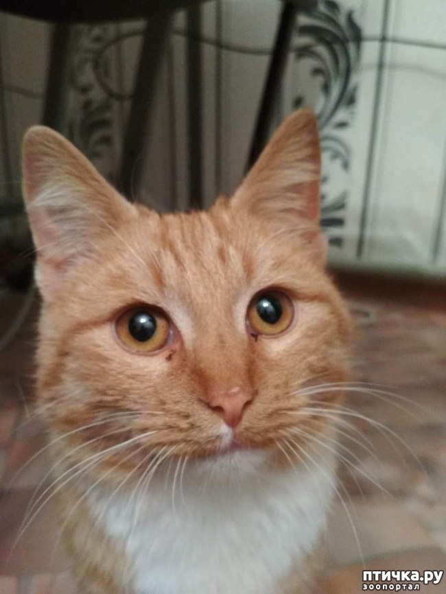 ���� 4: ������ �� ��������