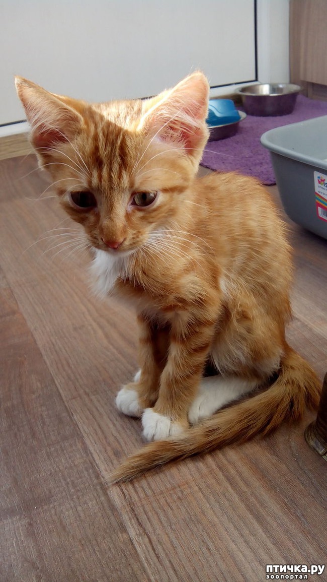 ���� 2: ������ �� ��������