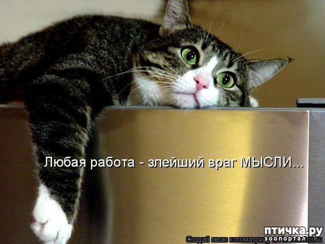 ���� 3: �����������: ������-������, ������� �� ������...