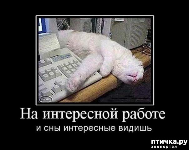 ���� 4: �����������: ������-������, ������� �� ������...