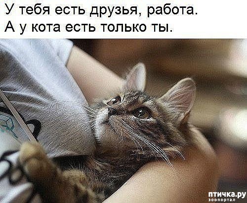 ���� 6: �����������: ������-������, ������� �� ������...