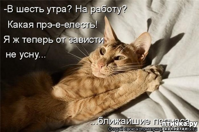 ���� 7: �����������: ������-������, ������� �� ������...