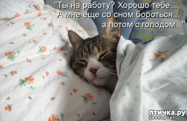 ���� 9: �����������: ������-������, ������� �� ������...