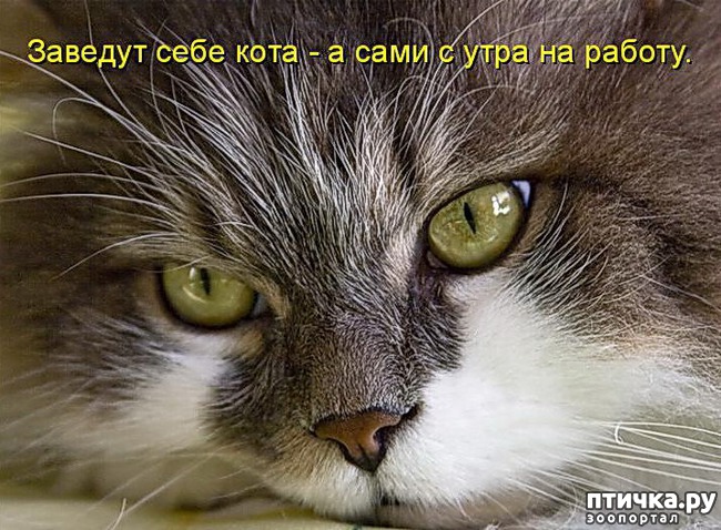 ���� 11: �����������: ������-������, ������� �� ������...