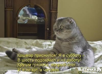 ���� 12: �����������: ������-������, ������� �� ������...