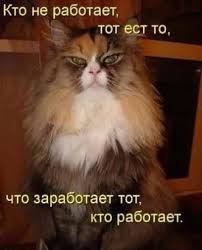 ���� 13: �����������: ������-������, ������� �� ������...