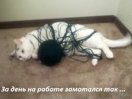 ���� 14: �����������: ������-������, ������� �� ������...