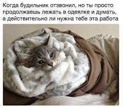 ���� 15: �����������: ������-������, ������� �� ������...