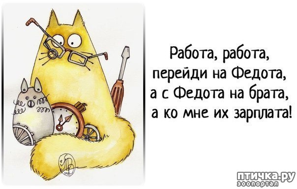 ���� 16: �����������: ������-������, ������� �� ������...