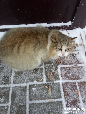 ����: ����� ���� �� ������!