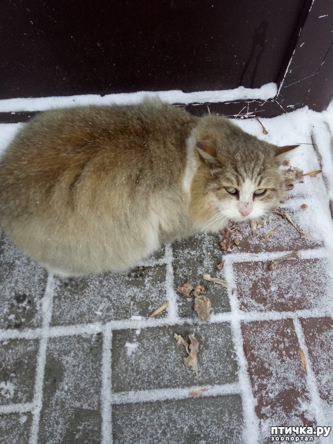 ���� 1: ����� ���� �� ������!